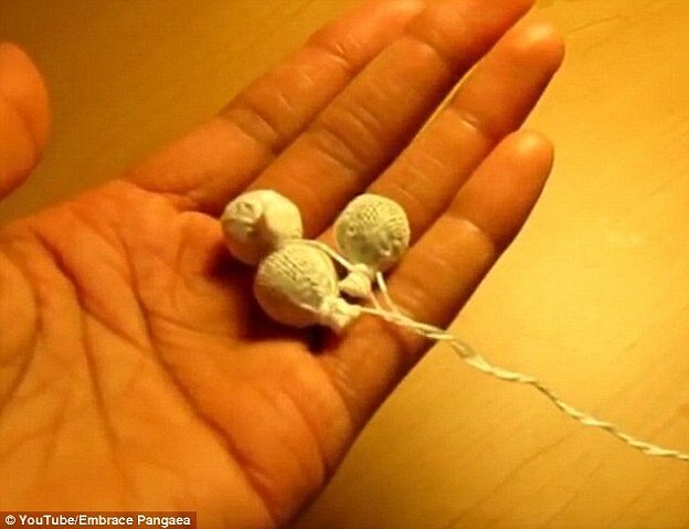 The Herbal Womb Detox Pearls are being sole by Florida-based organisation Embrace Pangaea and explain to to 'cleanse a womb and lapse it to a balance[d] state' by flushing out toxins