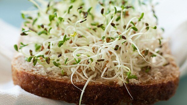 Should Sprouts Come With A Warning Label?