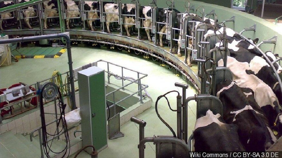 CDC: Milk from Lancaster County plantation tied to illness, death